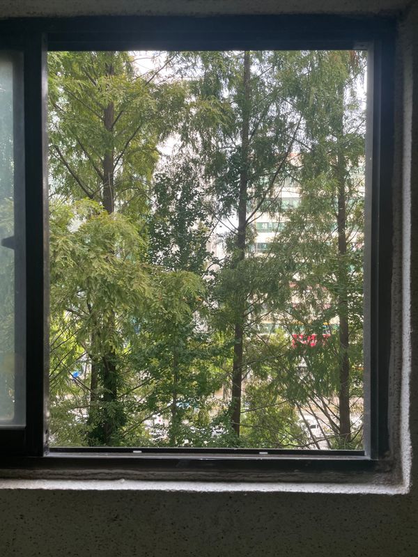 전세금 인상 없이 재계약한 비결